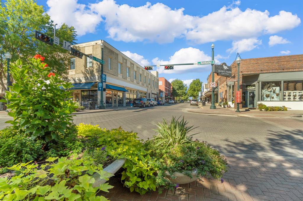 6717 Tadpole Trail McKinney, TX 75071 - Photo 15 of 17