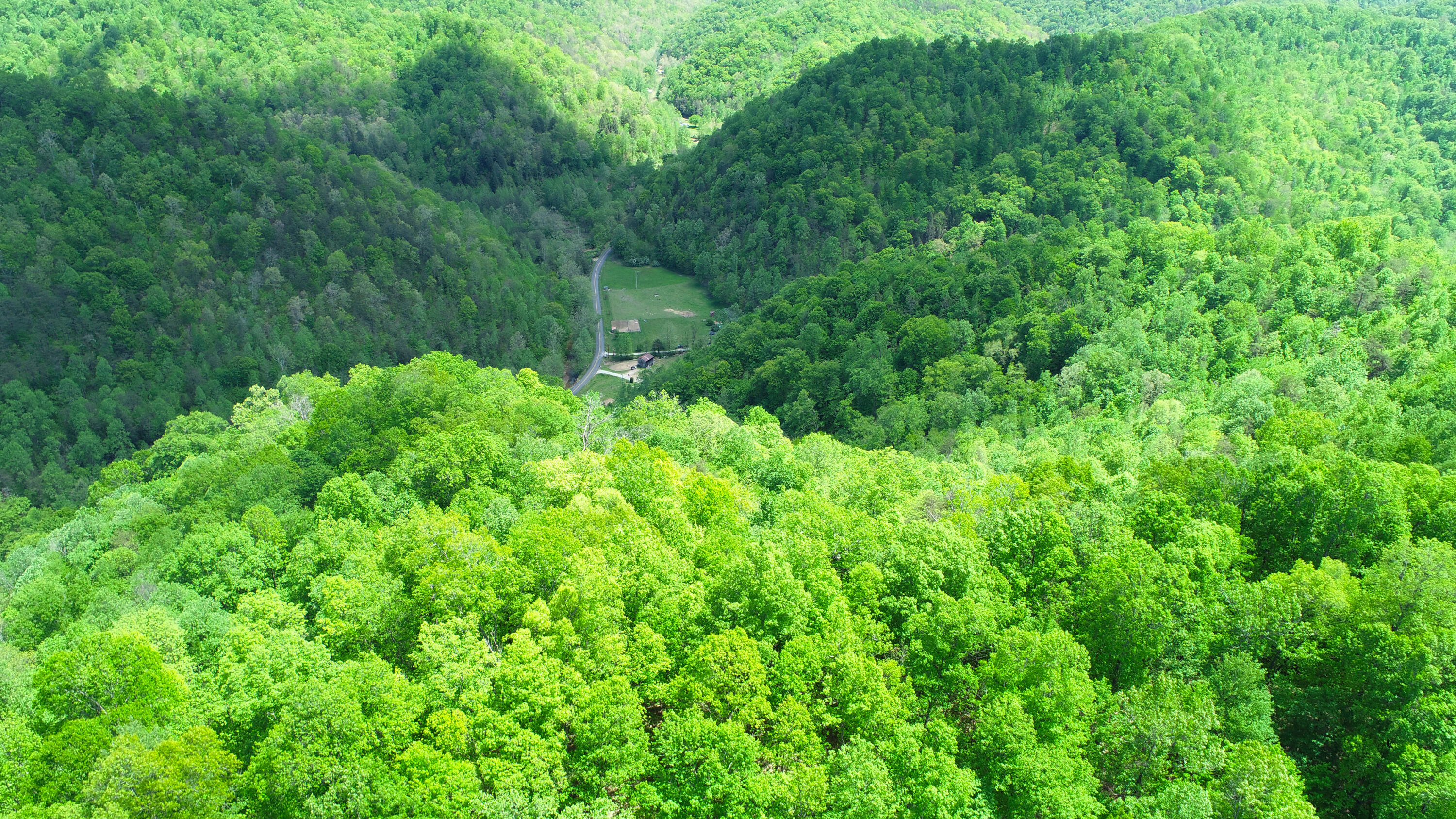 4662 Canoe Road Jackson, KY 41339 - Photo 15 of 25 Mountain top!