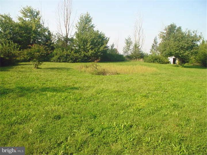 174 Point Airy Road Pilesgrove, NJ 08098 - Photo 19 of 20 Back Yard