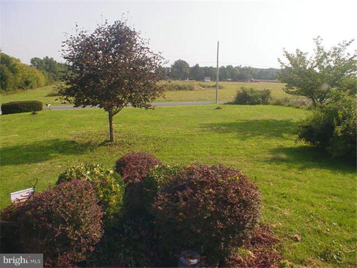 174 Point Airy Road Pilesgrove, NJ 08098 - Photo 20 of 20 Back Yard