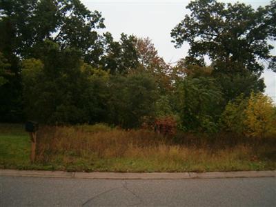Primary Photo