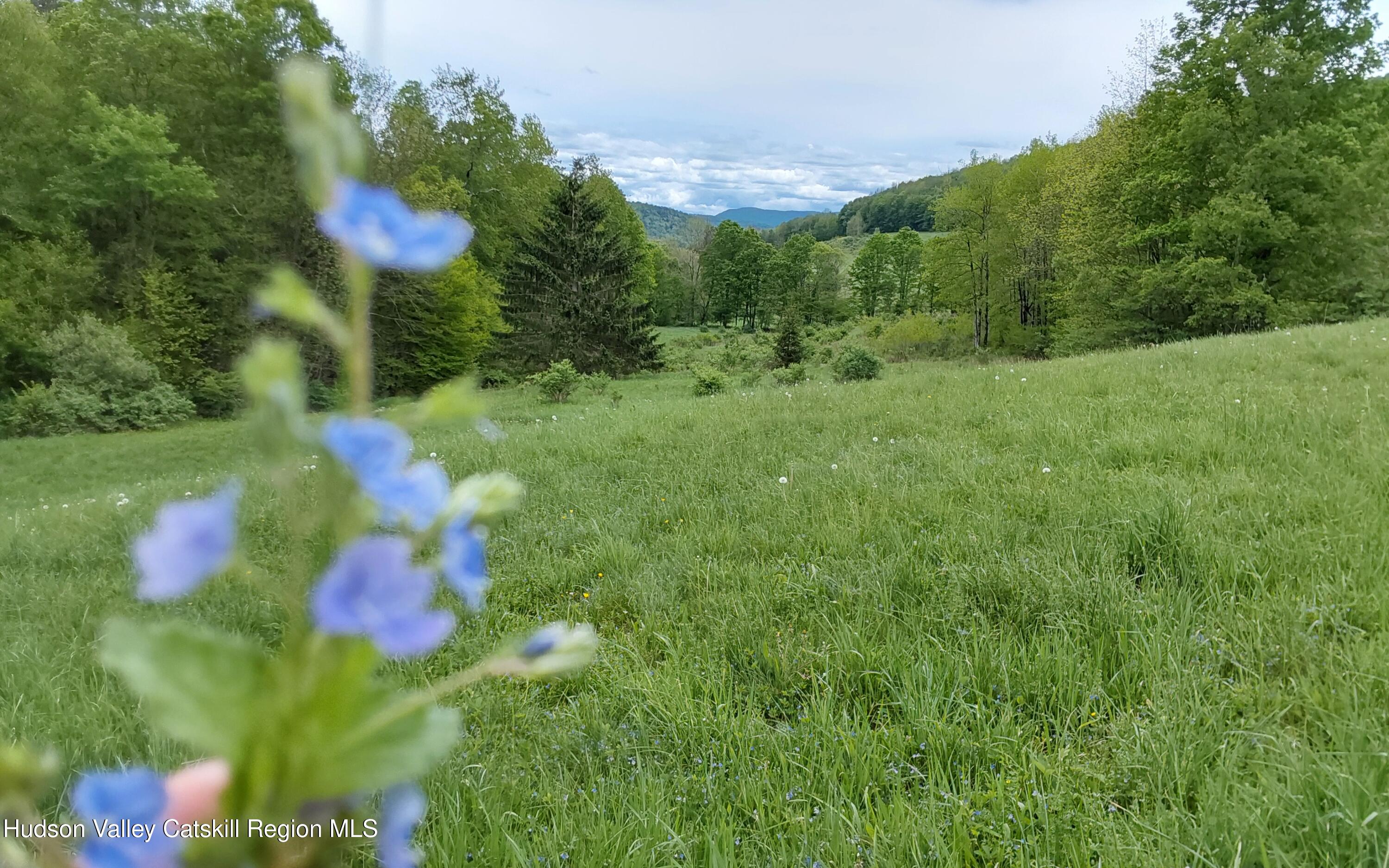 Tbd Upper Dingle Hill Road Andes, NY 13731 - Photo 6 of 44 1000000340