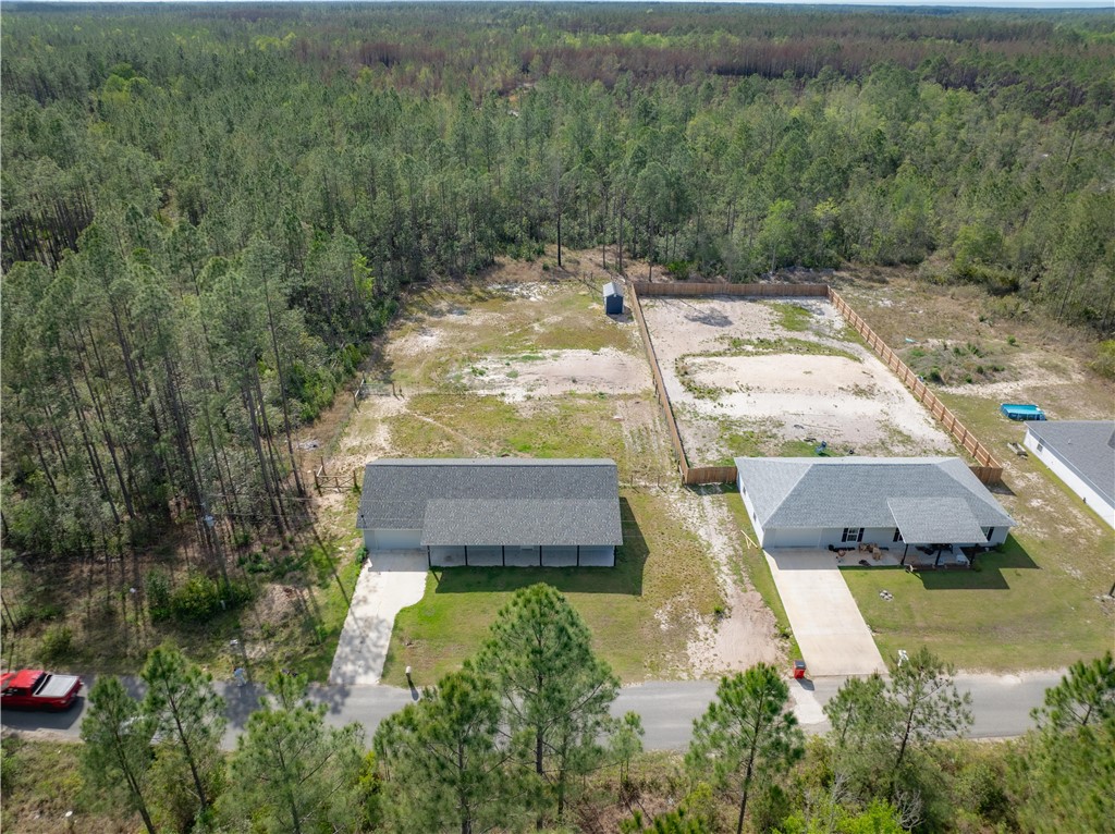 619 Red Hawk Drive Waycross, GA 31503 - Photo 3 of 47