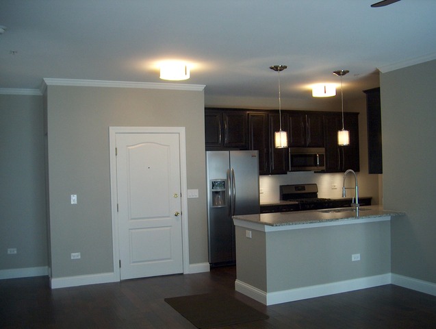 1251 West Lake Street, Unit 105 Addison, IL 60101 - Photo 3 of 19