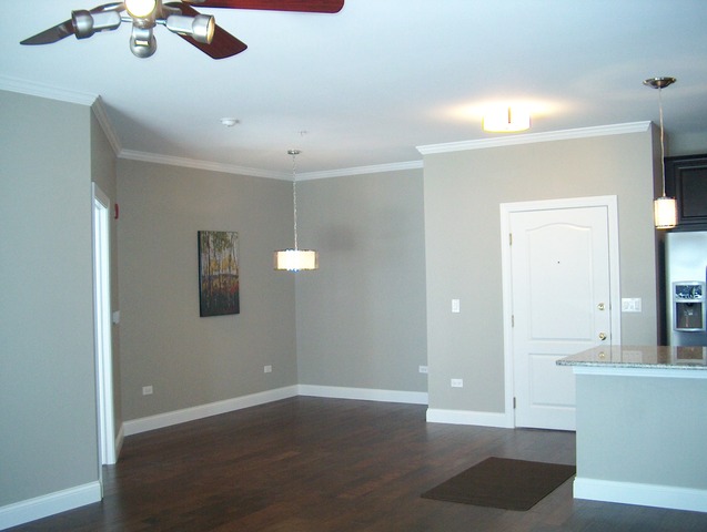 1251 West Lake Street, Unit 105 Addison, IL 60101 - Photo 4 of 19