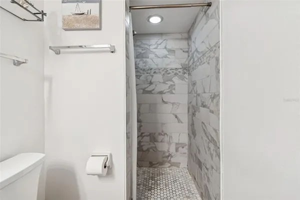 a bathroom with a shower and a toilet