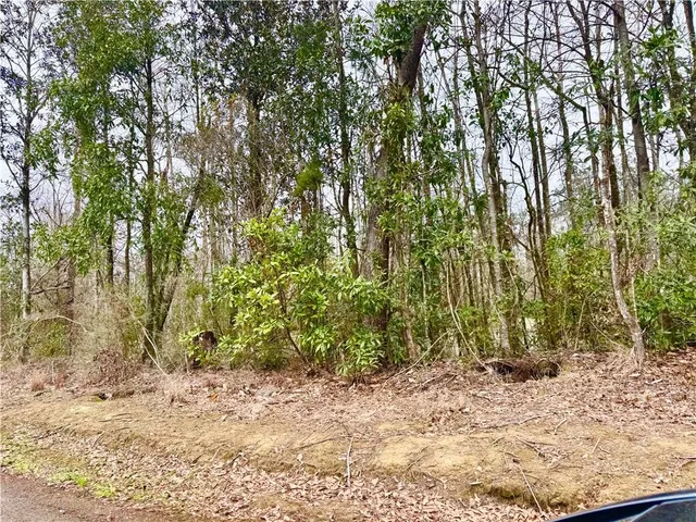 $11,250 | Tbd Hills Road, Holden, LA 70744
