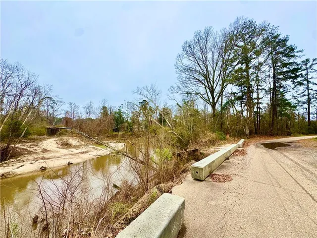 $11,250 | Tbd Hills Road, Holden, LA 70744