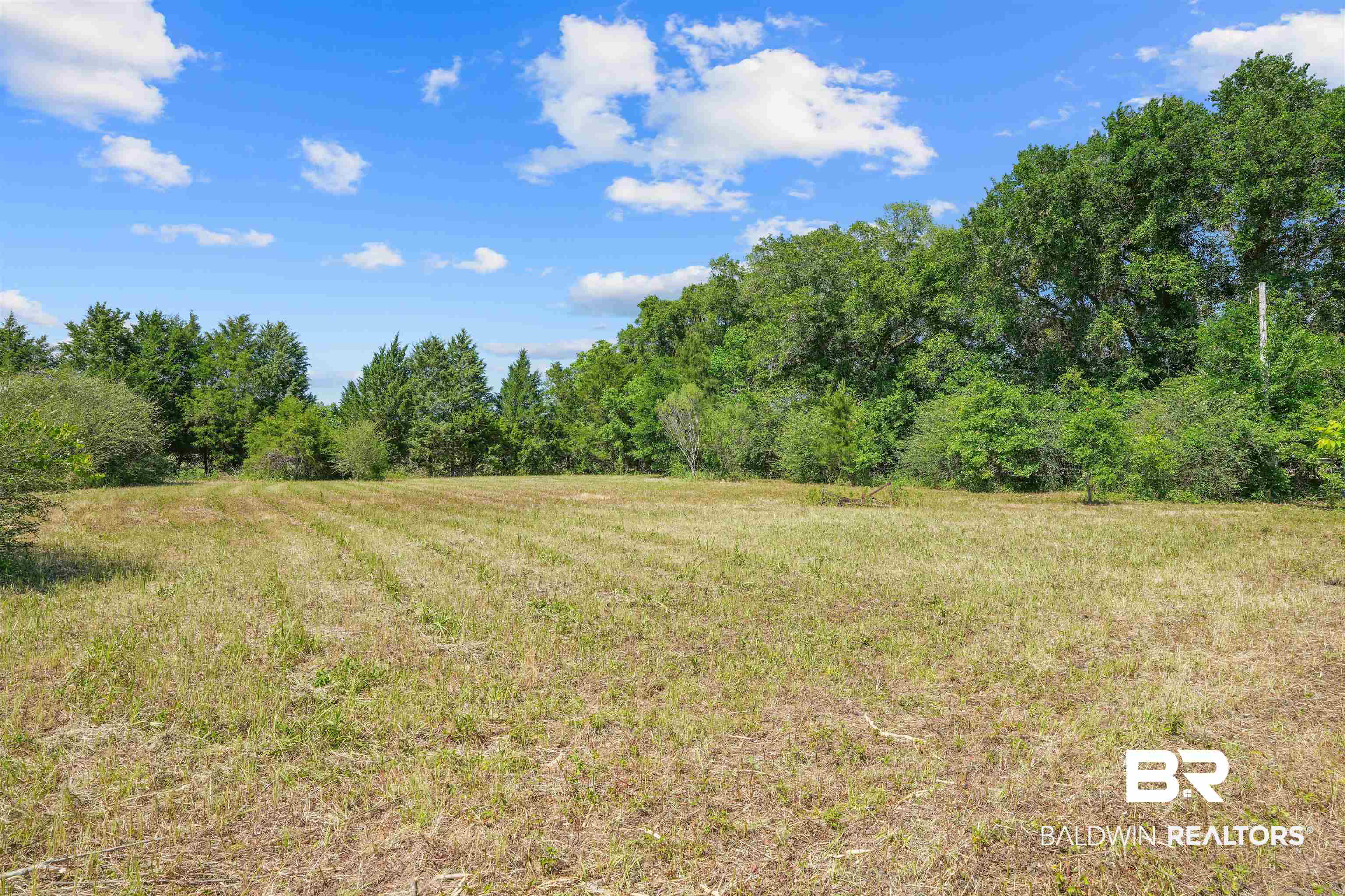 13733 White Road Silverhill, AL 36576 - Photo 14 of 26
