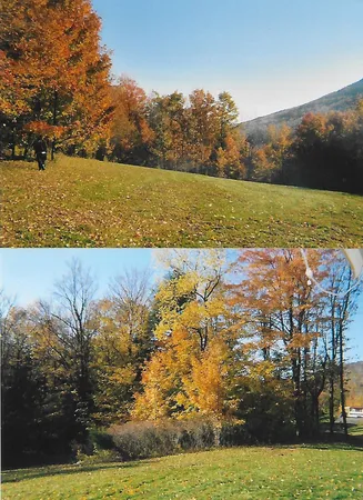 $585,500 | Pantherlick Road, Sugar Run, PA 18846