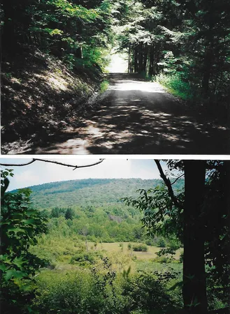 $585,500 | Pantherlick Road, Sugar Run, PA 18846