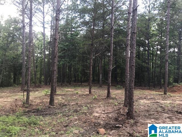 Mountain View Vance, AL 35490 - Photo 28 of 28