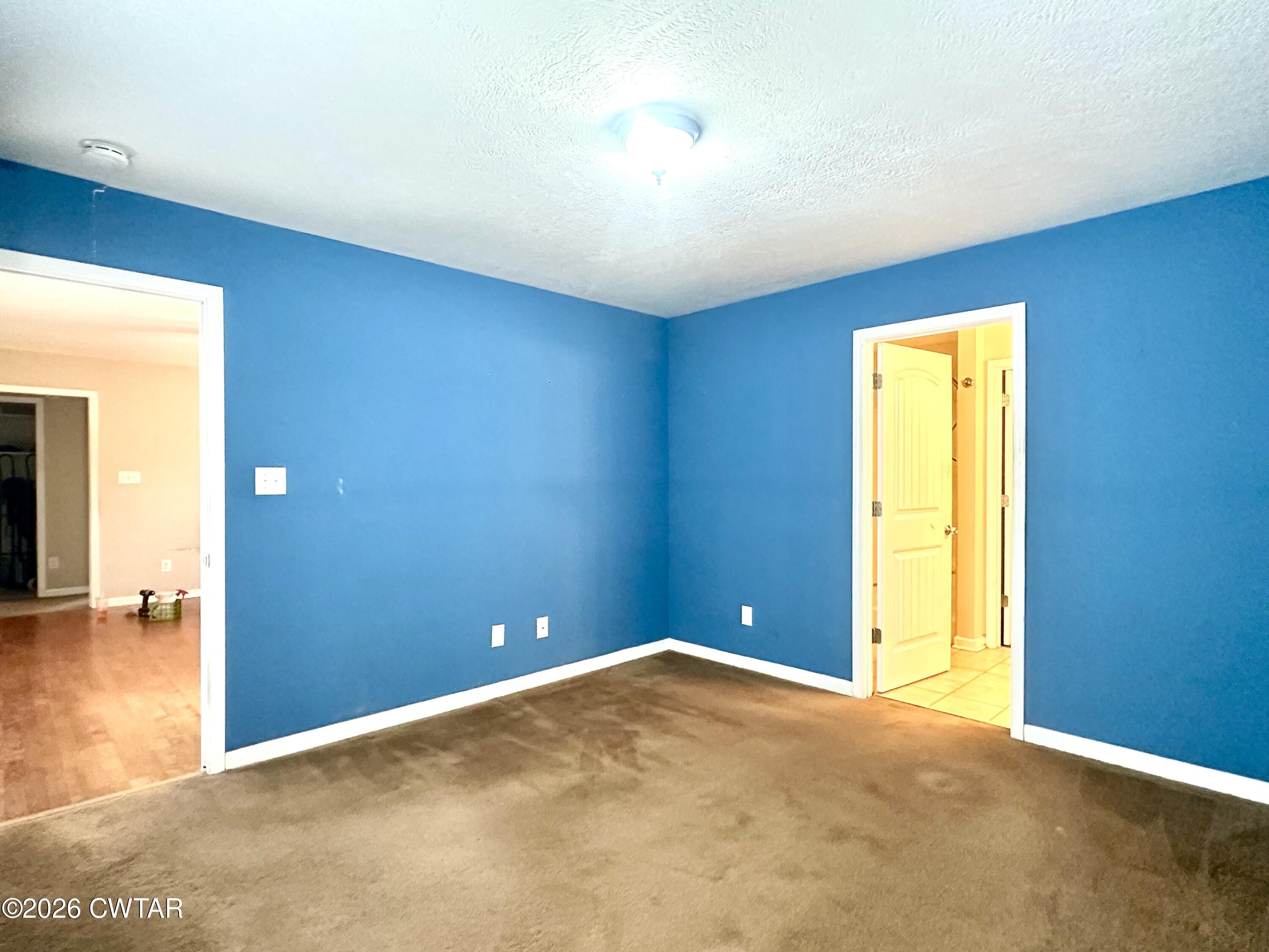 3705 Clarks Creek Road Luray, TN 38352 - Photo 10 of 21 IMG_4265