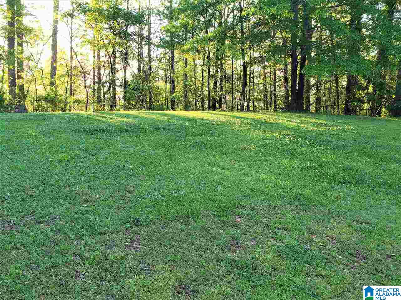 109 Hillcrest Road Heflin, AL 36264 - Photo 24 of 25