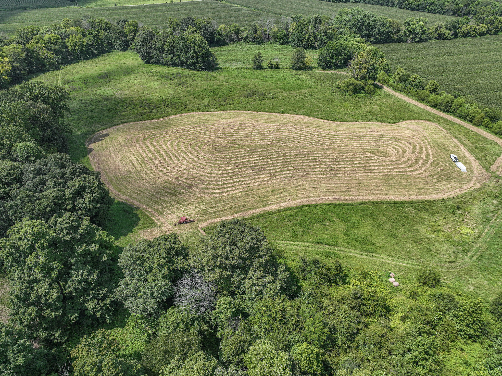 0 Adam Road Salem, KY 42078 - Photo 6 of 10 68+/- Acres