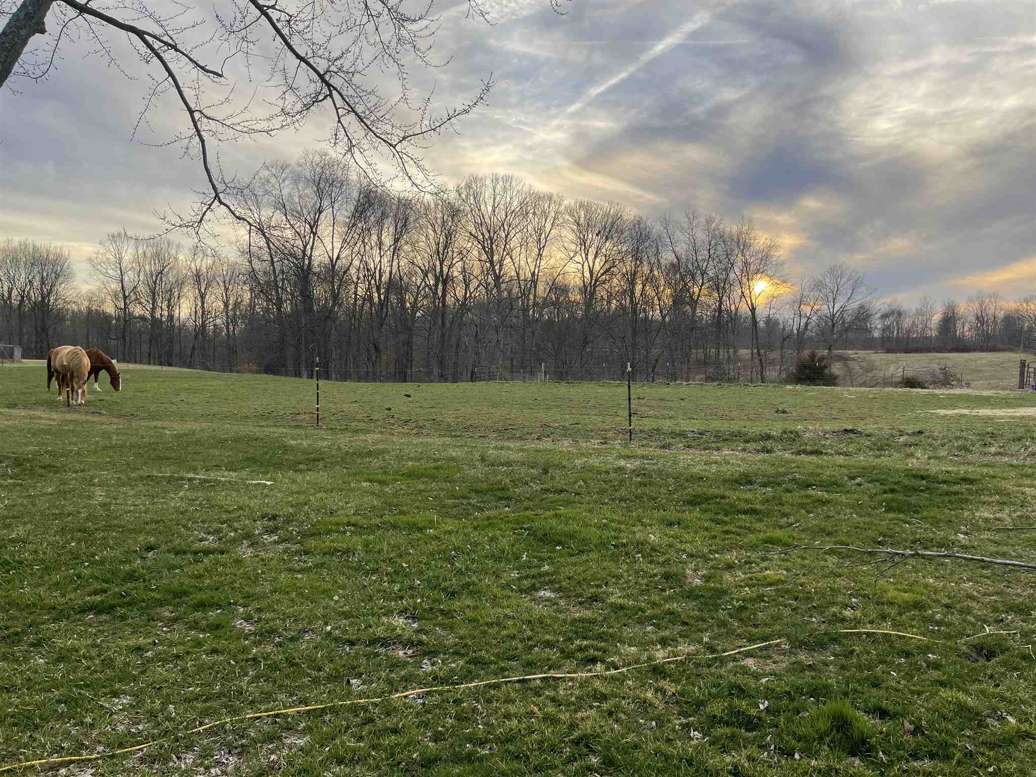 2607 Ditney Ridge Road Bedford, IN 47421 - Photo 12 of 29 Gallery Image 12