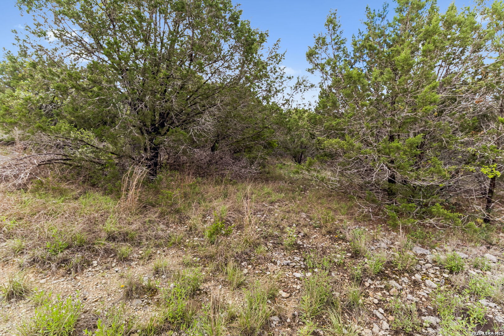 293 River Cliff Place Spring Branch, TX 78070 - Photo 12 of 15