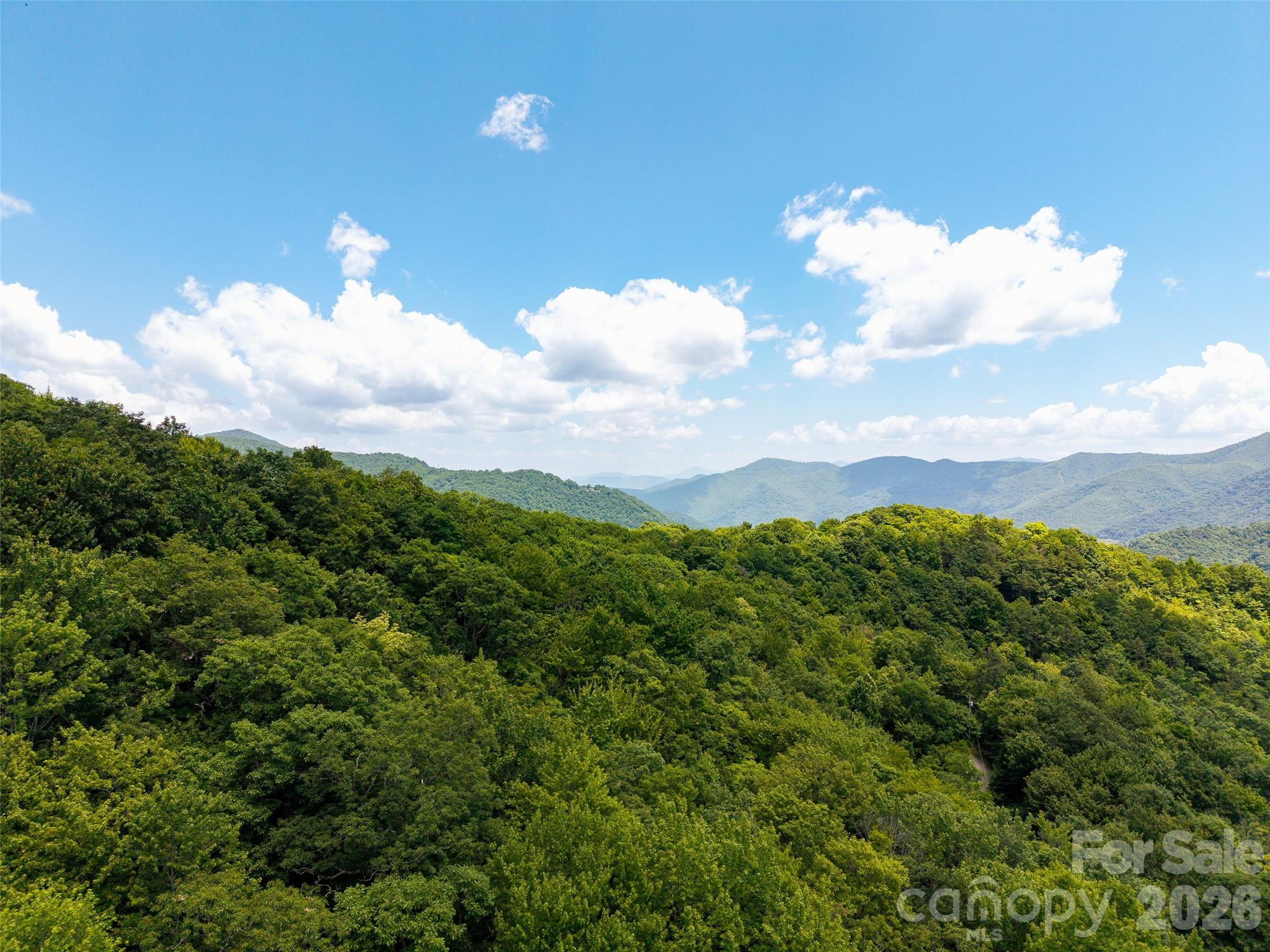 0 Bent Tree Road Maggie Valley, NC 28751 - Photo 5 of 9