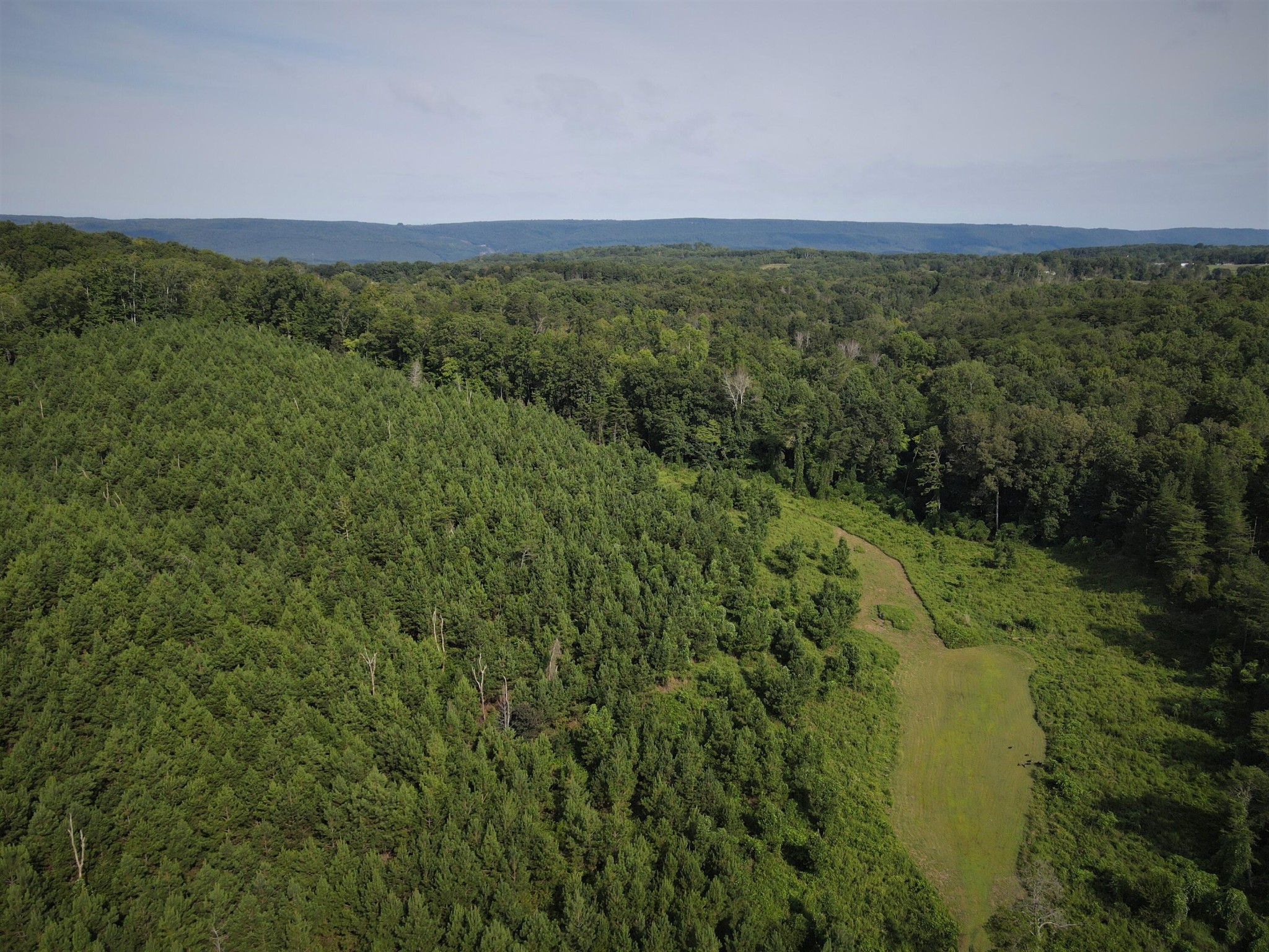 0 Pleasant Road Evensville, TN 37332 - Photo 3 of 7