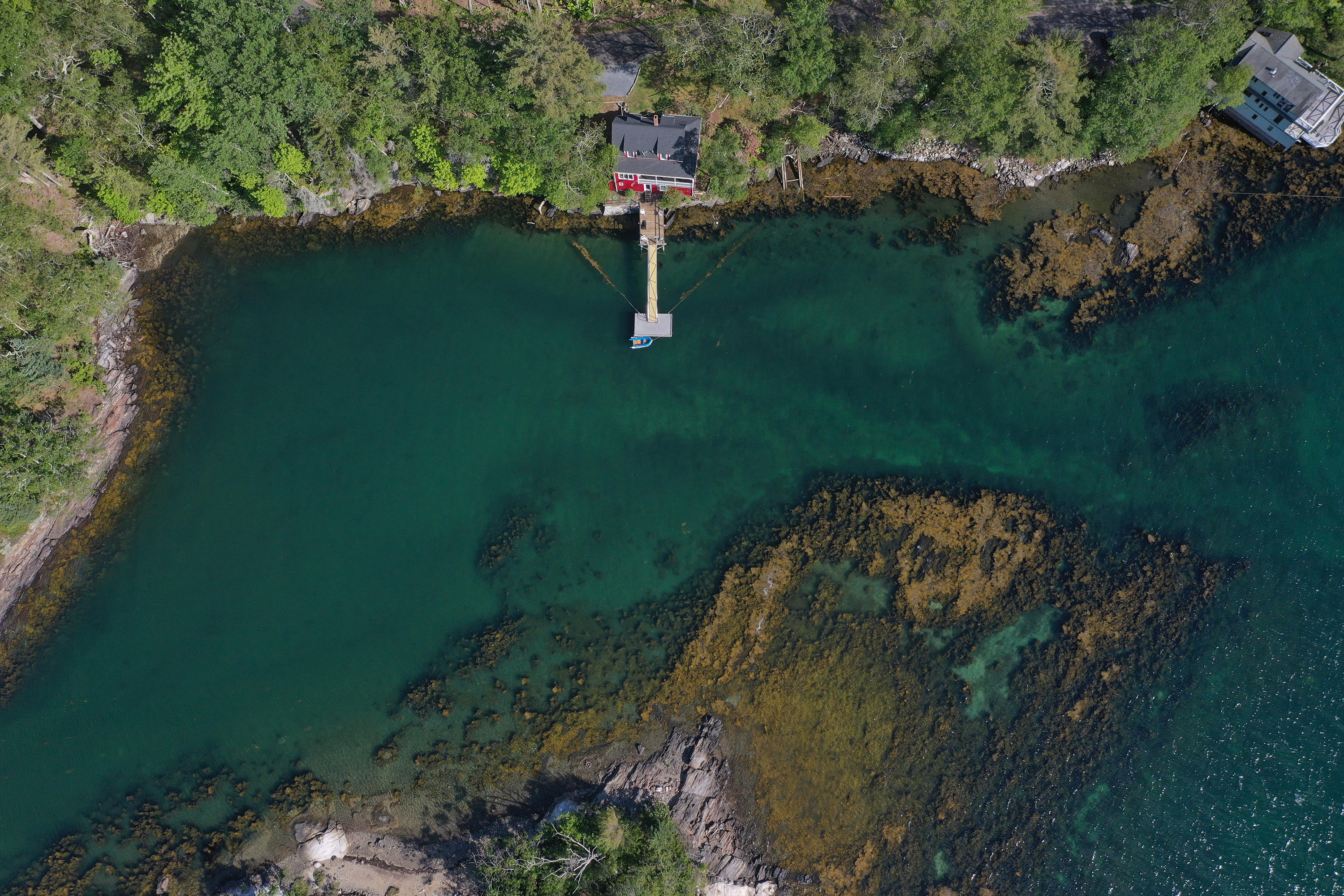 61 Paradise Point Road East Boothbay, ME 04544 - Photo 56 of 57 20210617jm-81112