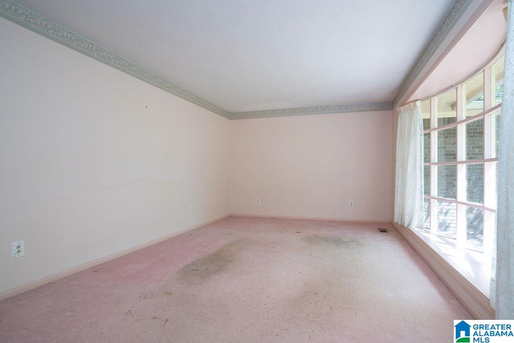 102 Burgess Drive Springville, AL 35146 - Photo 5 of 46
