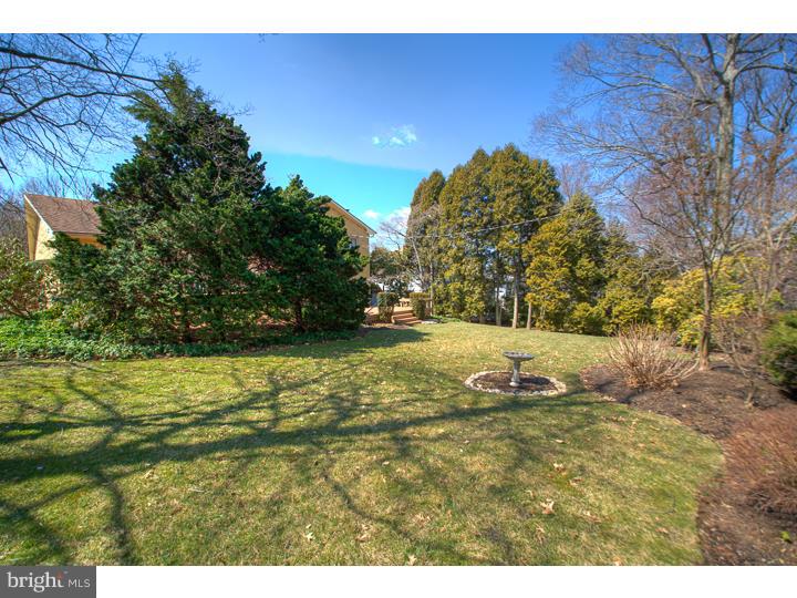 1465 Autumn Road Rydal, PA 19046 - Photo 24 of 24 Back Yard