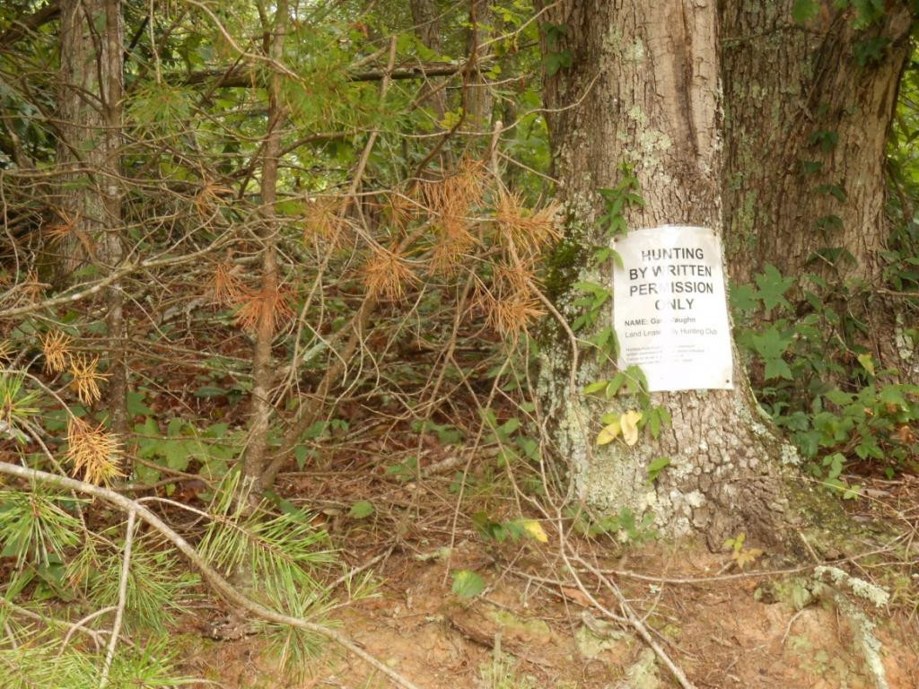 1675 Poor Valley Road Rogersville, TN 37857 - Photo 8 of 21 Photo 8