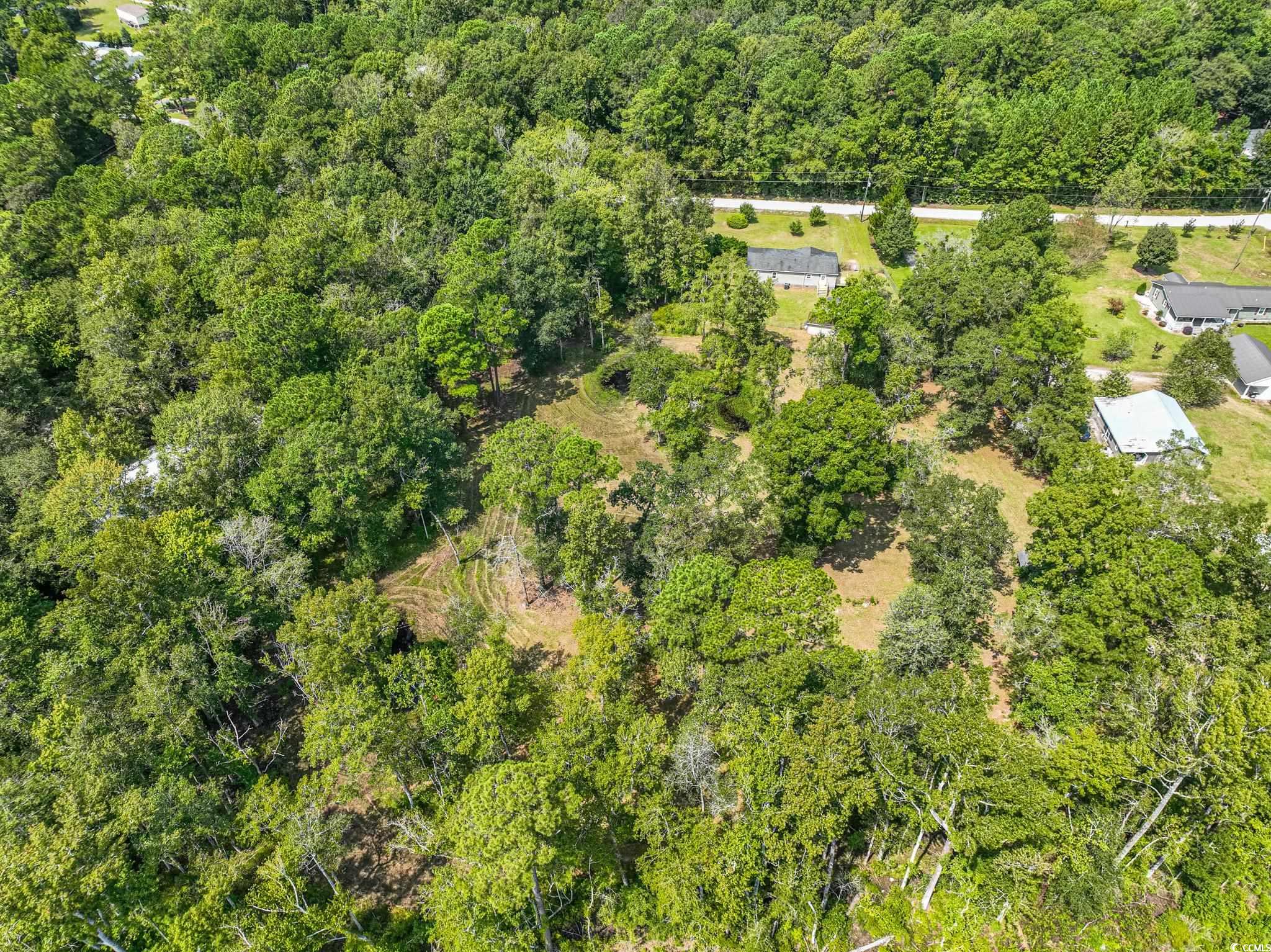 2150 Hazel Road Conway, SC 29526 - Photo 4 of 28 Bird's eye view