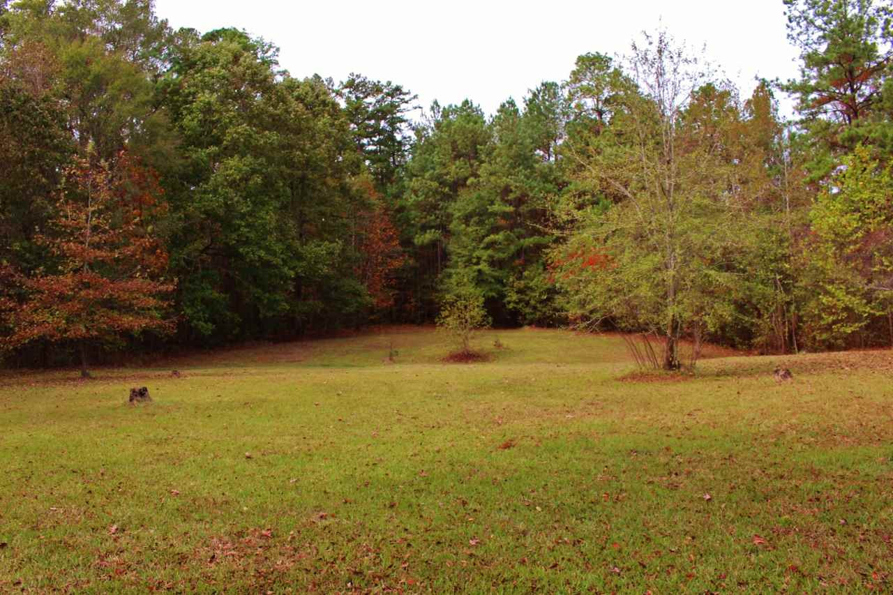 1424 Wade Patrick Road Braxton, MS 39044 - Photo 2 of 27 Photo 2