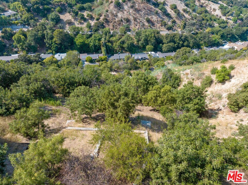 3664 Oakfield Drive Sherman Oaks, CA 91423 - Photo 16 of 17 a view of a forest with a tree