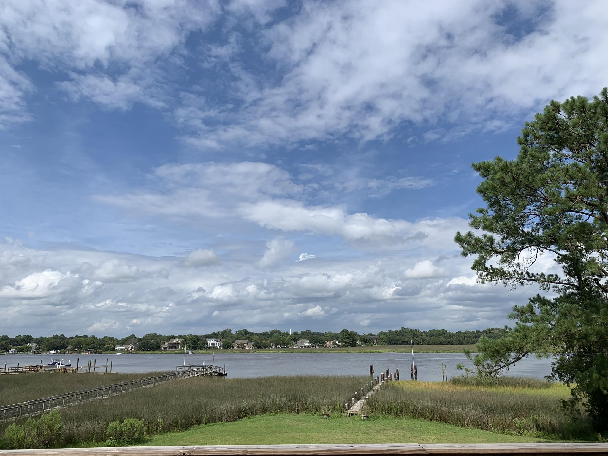 2854 Harvard Road Charleston, SC 29414 - Photo 3 of 55 IMG_2164