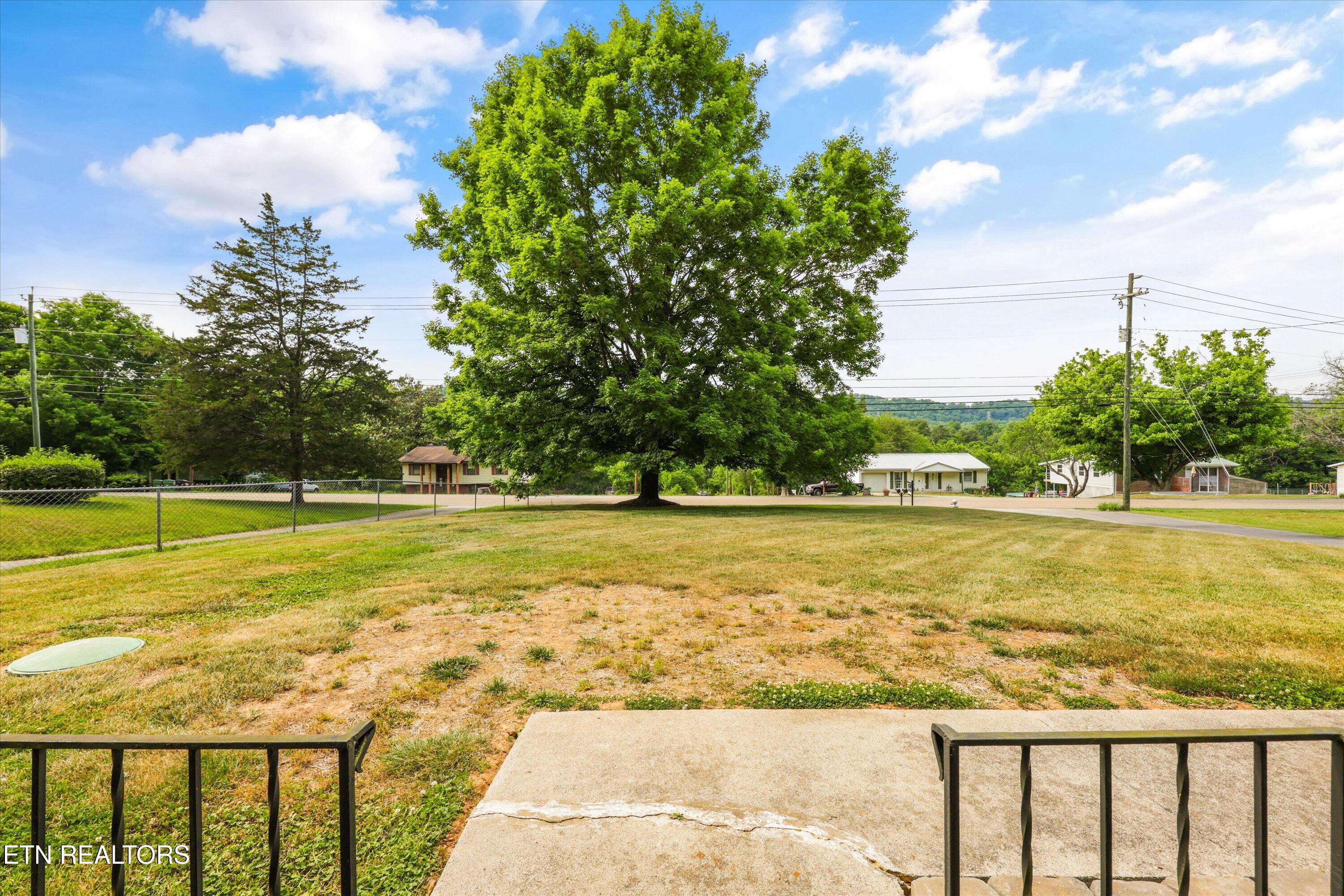 5524 Carter Road Knoxville, TN 37918 - Photo 5 of 57 Front Yard