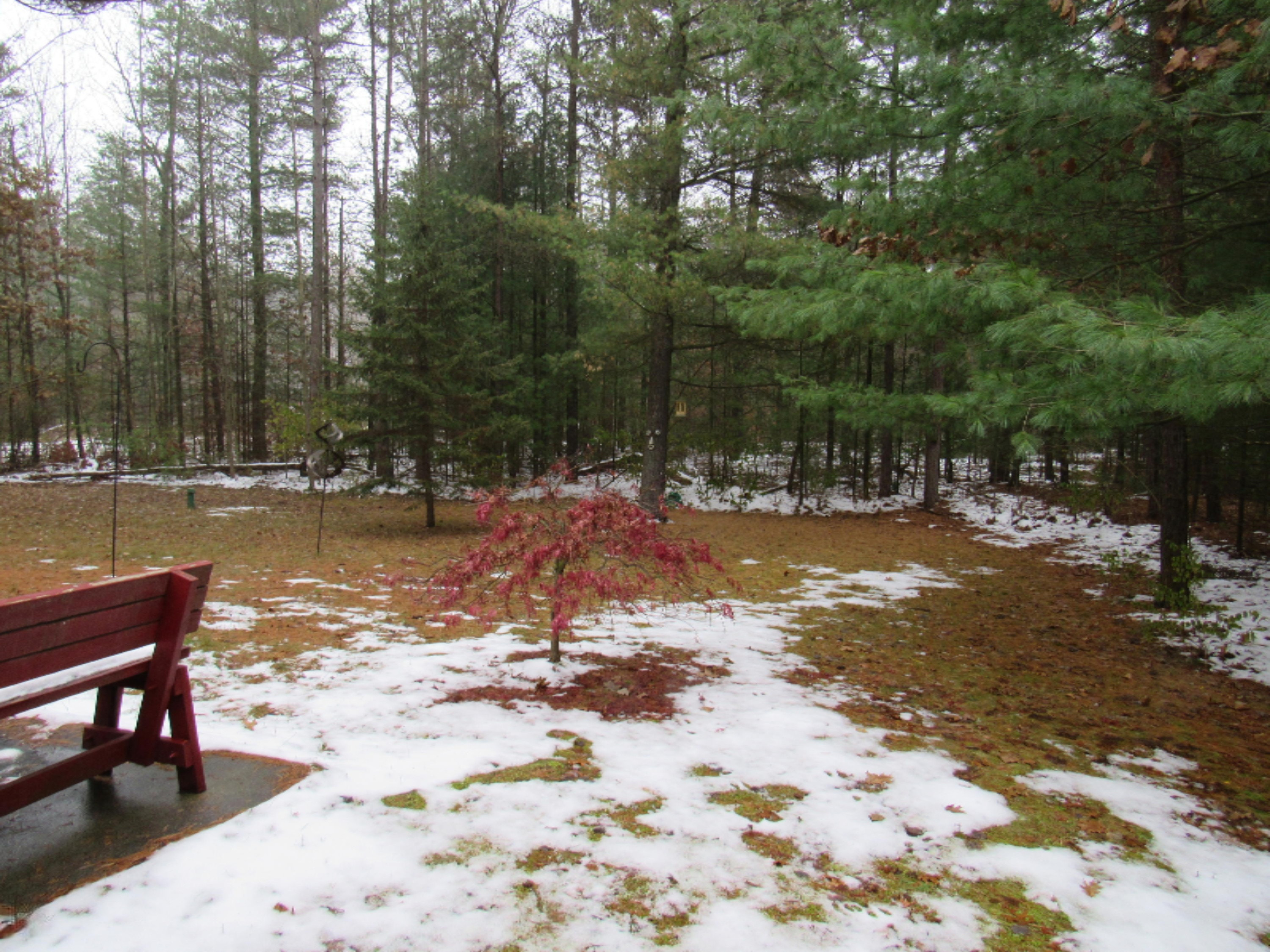 3958 Staple Road Muskegon, MI 49445 - Photo 18 of 18 Back Yard