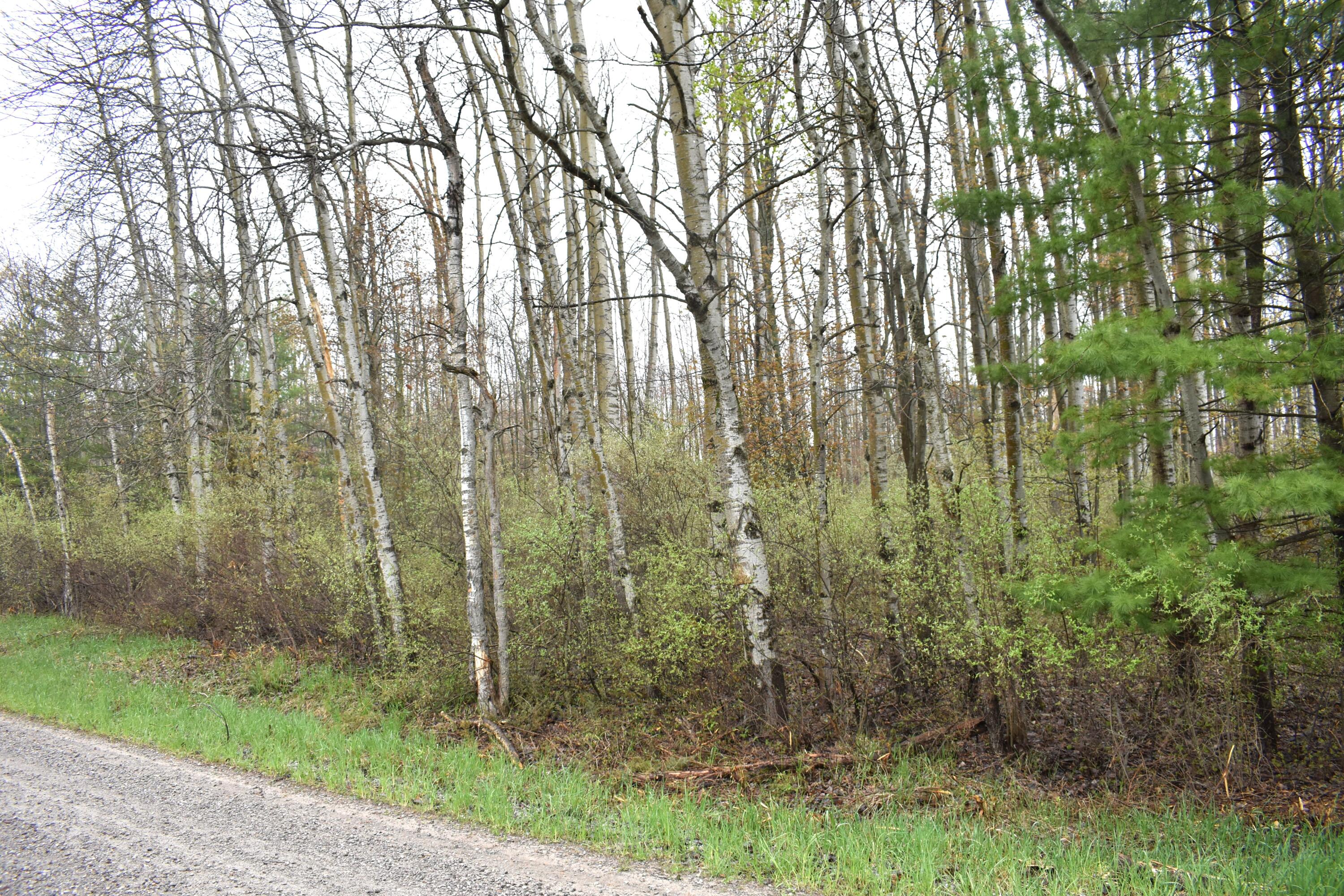 Road view