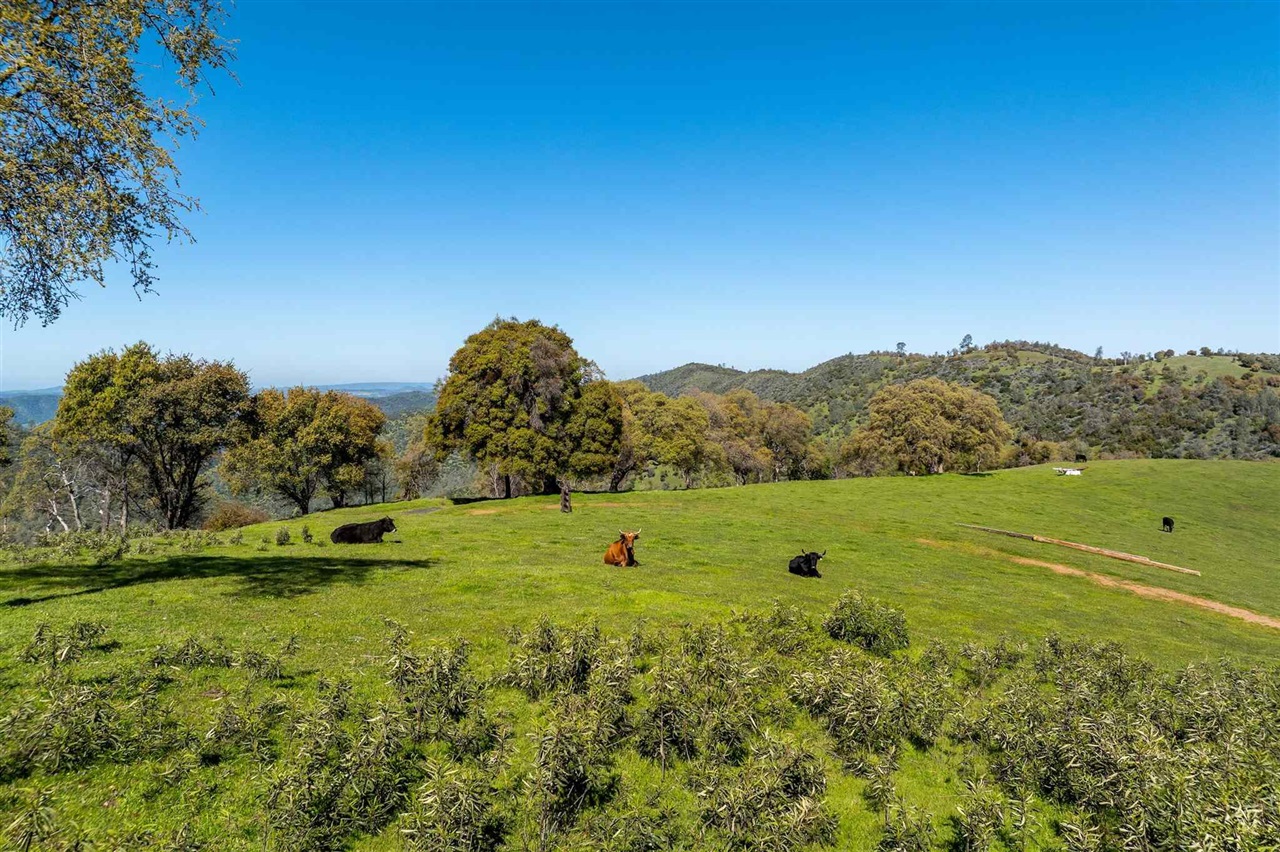 16554 Cocoran Gray Road Groveland, CA 95321 - Photo 3 of 38 View of mountain feature featuring a rural view