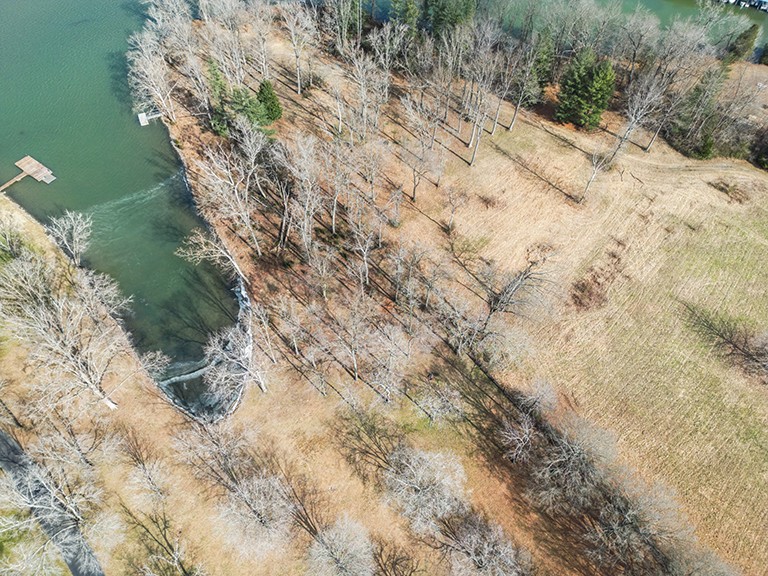 255 Cherokee Dock Road Lebanon, TN 37087 - Photo 3 of 10 a view of a dry yard with trees