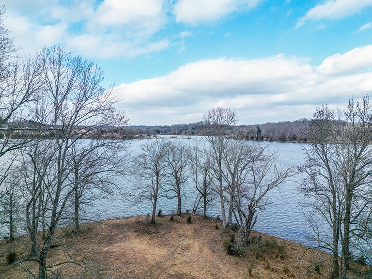 255 Cherokee Dock Road Lebanon, TN 37087 - Photo 5 of 10 a view of a forest with trees in the background