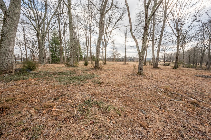 255 Cherokee Dock Road Lebanon, TN 37087 - Photo 6 of 10 a fire hydrant in middle of a field
