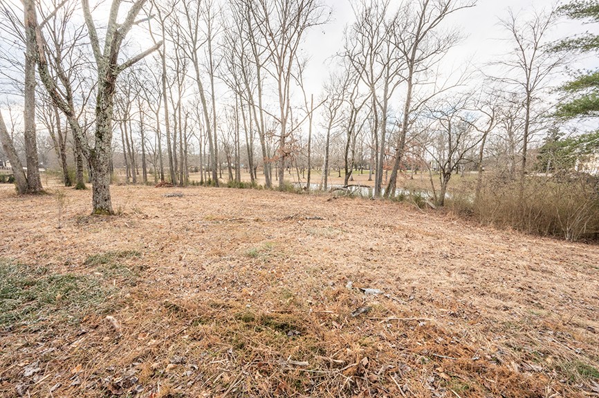 255 Cherokee Dock Road Lebanon, TN 37087 - Photo 9 of 10 a view of empty room with trees