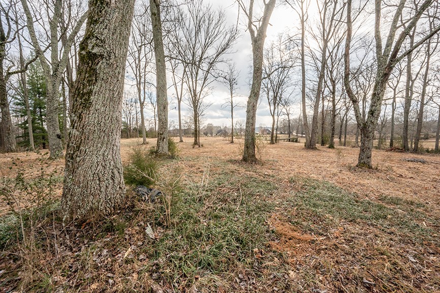 255 Cherokee Dock Road Lebanon, TN 37087 - Photo 10 of 10 a view of empty yard with trees