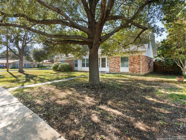 a view of a yard with plants and large trees