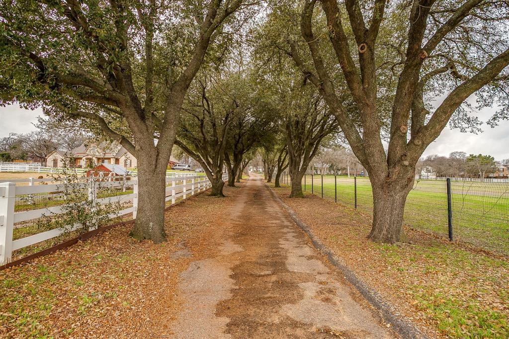 1432 Mount Gilead Road Keller, TX 76262 - Photo 4 of 40 a view of yard with trees