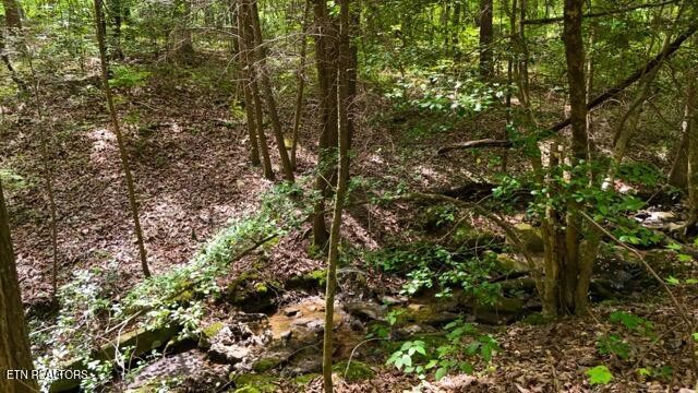 9607 Barbee Road Soddy-Daisy, TN 37379 - Photo 9 of 22