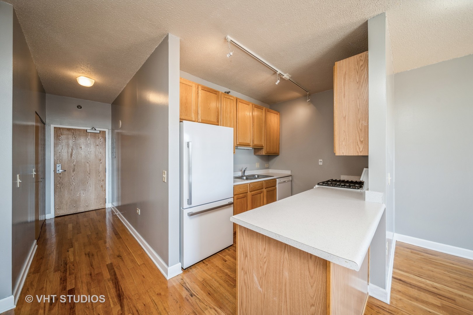 1529 South State Street, Unit 11F Chicago, IL 60605 - Photo 7 of 14 a kitchen with a refrigerator and a sink