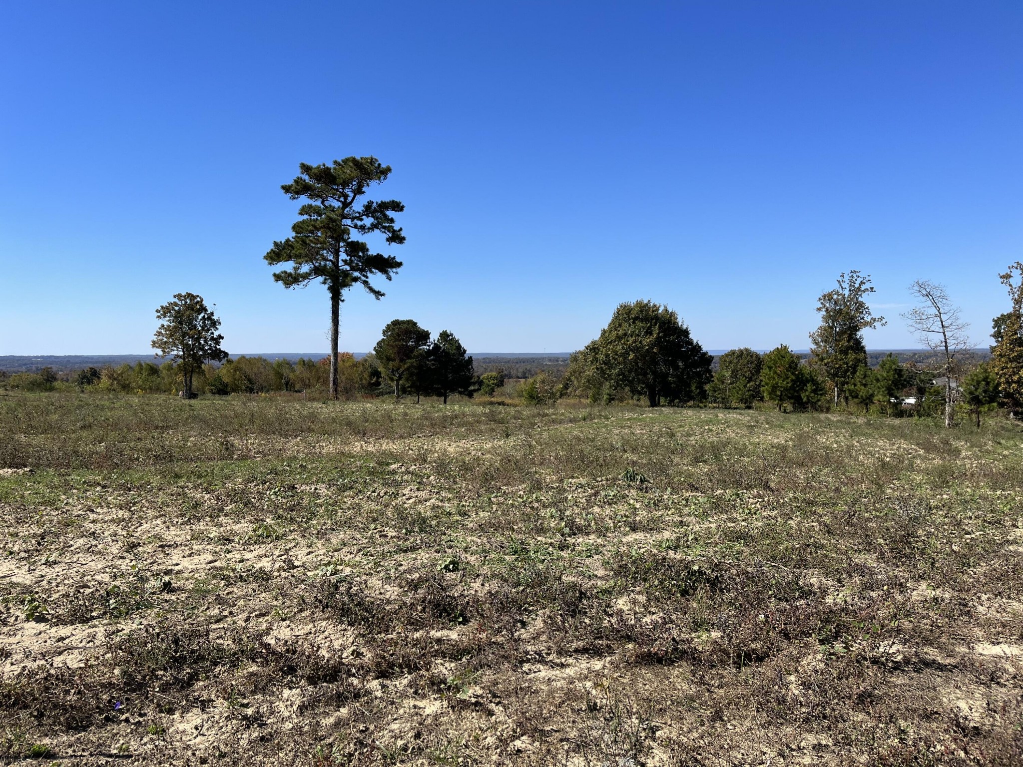 1 Workman Road Trenton, GA 30752 - Photo 38 of 41 Gallery Image 38