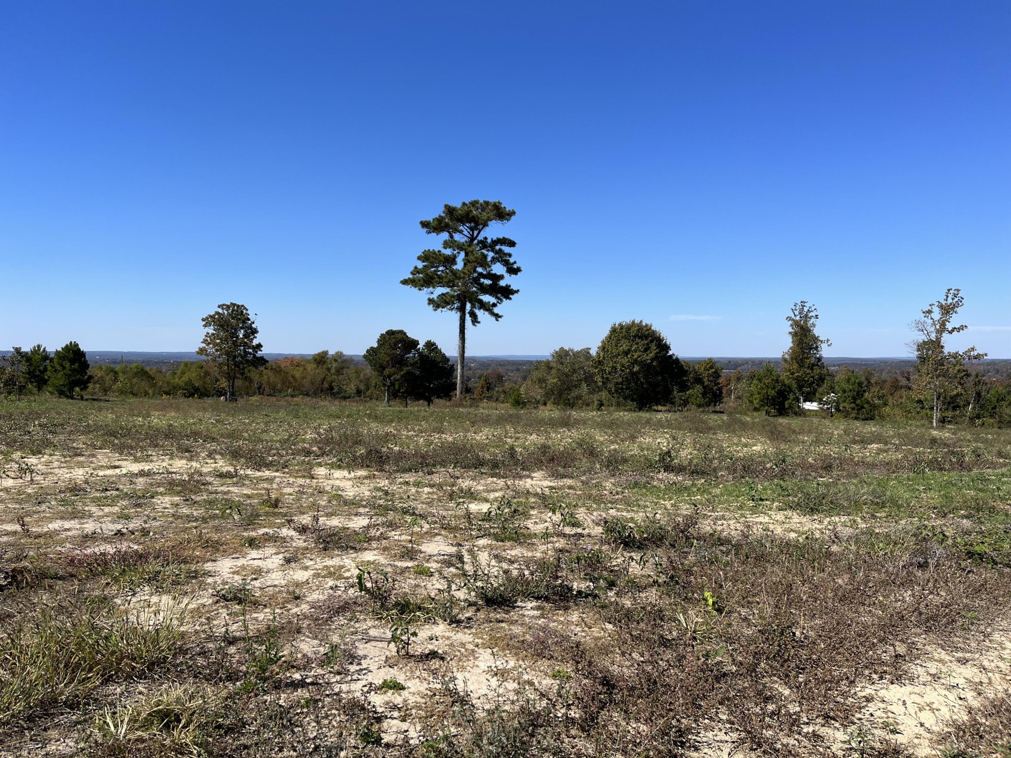 1 Workman Road Trenton, GA 30752 - Photo 40 of 41 Gallery Image 40
