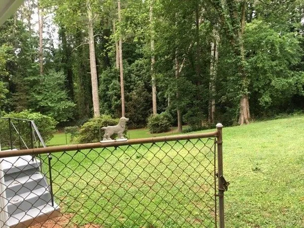 a view of a small yard with large trees