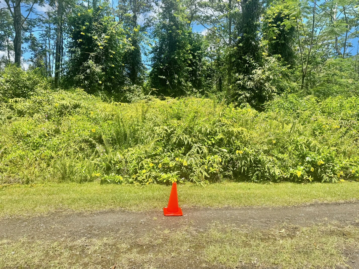 585 Puna Road Pahoa, HI 96778 - Photo 1 of 10 a garden view