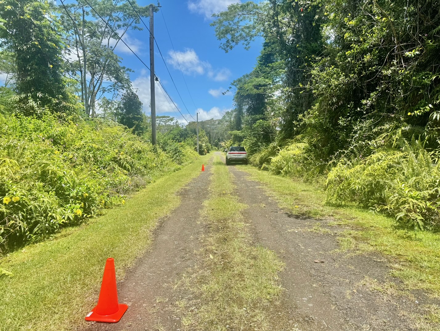 585 Puna Road Pahoa, HI 96778 - Photo 3 of 10 a view of a yard with plants and wooden fence