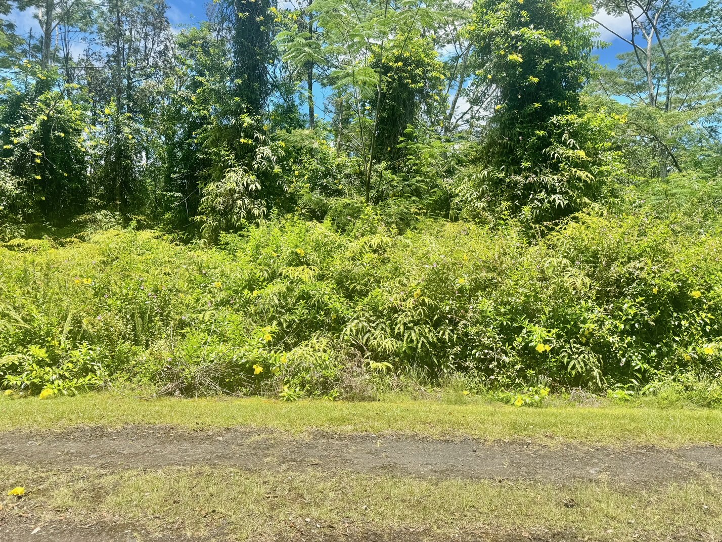 585 Puna Road Pahoa, HI 96778 - Photo 4 of 10 a view of a yard with an outdoor space